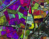 Immagine a falsi colori COSMO-SkyMed sulle aree agricole pavesi, elaborata da CNR-IREA (Copyright©e-GEOS an ASI / Telespazio company)
